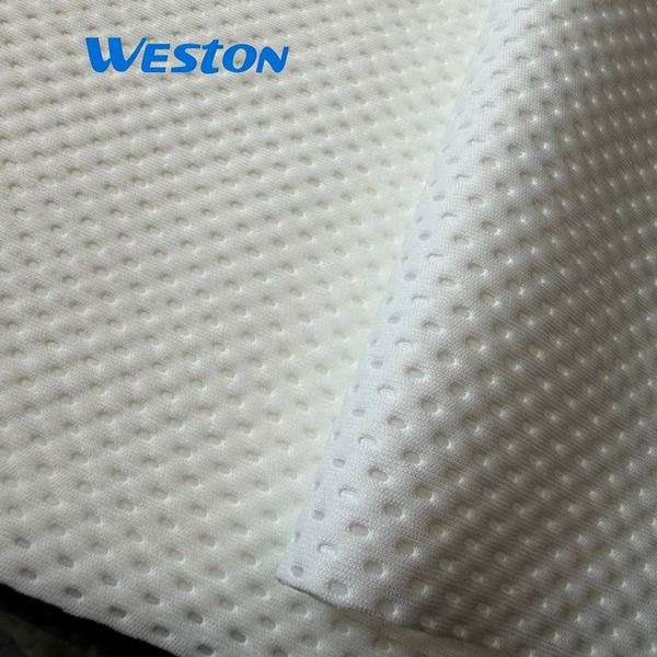 Heavy Weight Polyester Absorberende Renrumsservietter