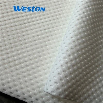 Heavy Weight Polyester Absorberende Renrumsservietter